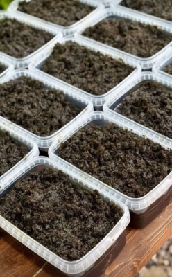 محصول نمونه 1