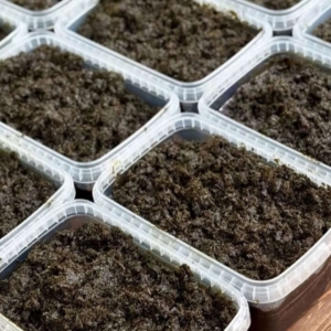 محصول نمونه 1