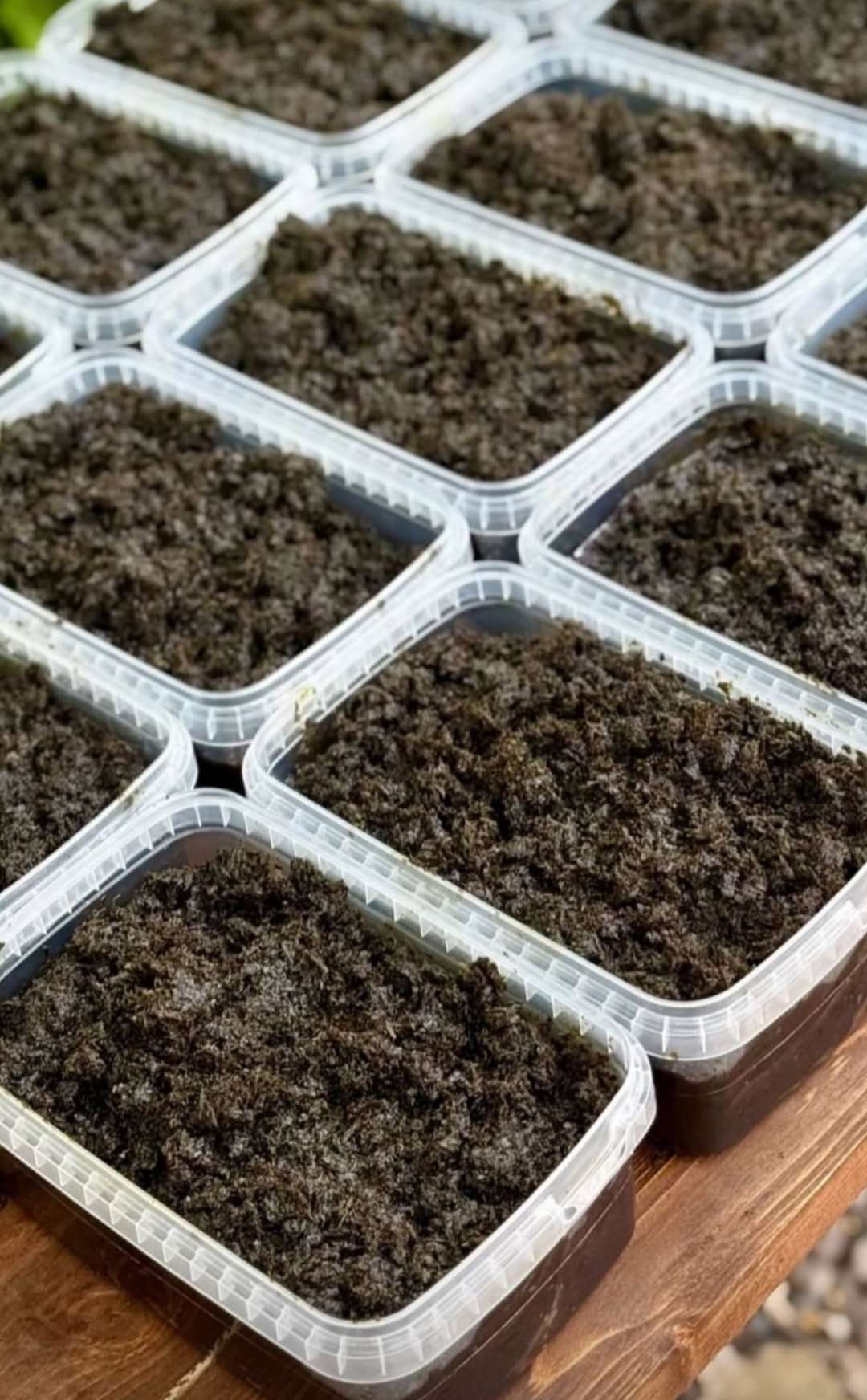 محصول نمونه 1