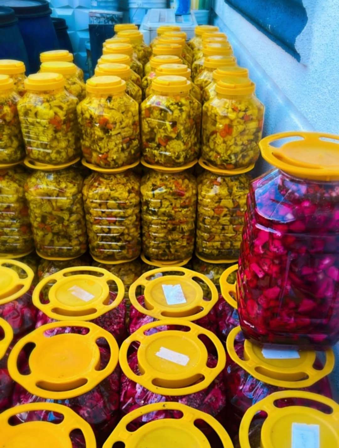 محصول نمونه 5